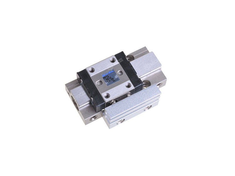 NEW-ERA<br/>PPTS-SD10-10-TP